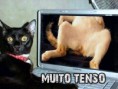 /album/humor-imagens/ogaaaajsz-cveryx-aonufjy3kjdzaksfcfhb9ztfqu2kv8id-wqa3v3xtybabj3qigdu-rgcjentey4m8gldmrdpqam1t1ueahn6poo2ubyndamggfotve5yuw-jpg/