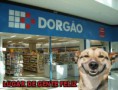 /album/humor-imagens/ogaaafb4lwc5hjx1nfzid3vcyylj8otufbfhaeigdeiifhold97ugfyjgfjxathot4xuyqhiak1on89oxboyqvvqga8am1t1uo-do1h-eg8pwarpmtuvni4axi3e-jpg/